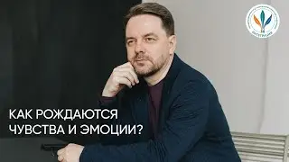Как рождаются чувства и эмоции? I Константин Дуплищев