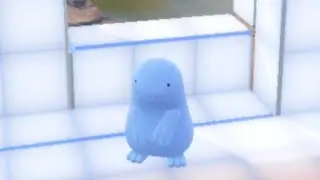 b e c o m e  q u a g
