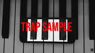 [TRAP SAMPLE PACK] FLUTE Loop 120BPM/Royalty Free