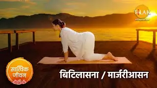 बिटिलासना मार्जरीआसन करने का तरीका | Cat- Cow Pose | सात्विक जीवन | तिलक प्रस्तुति🙏