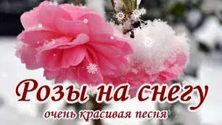 Красивая песня на все 100 – это Розы на снегу в исполнении Игоря Виданова для ВАС РОЗЫ НА СНЕГУ