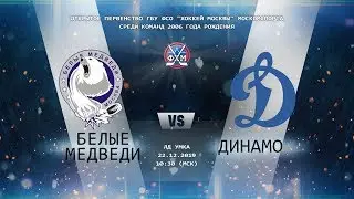 Белые медведи - Динамо