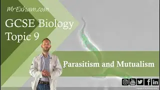 Parasitism and Mutualism - GCSE Biology (9-1) 9.4
