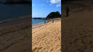 Свадьба 