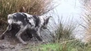 Jack playing in the water #2