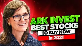 ARK INVEST: BEST STOCK TO BUY IN 2021