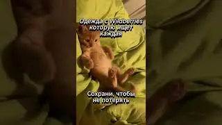 Артикулы в шапке профиля 