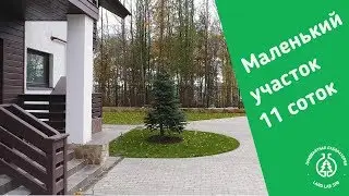 plot with Christmas tree