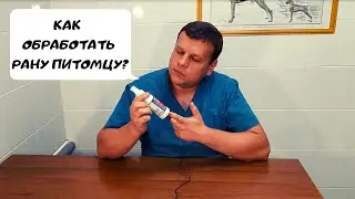 ЧЕМ ОБРАБОТАТЬ РАНУ ПИТОМЦУ? МОНКЛАВИТ 1