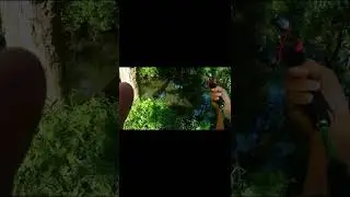 DETIK DETIK IKAN BESAR MENGAMUK