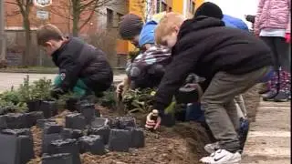 Blumenzwiebeln gepflanzt - RAN1