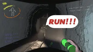 Lethal Company but with 30+ mods. ITS  CRAZY (not actually) - Lethal company gameplay
