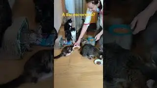 20 июля 2024 г.