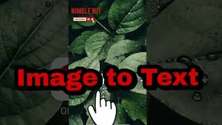 Simple way to extract text from image | Copy text from image to table | image to text and table