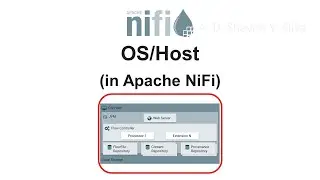 OS/Host (in Apache NiFi)