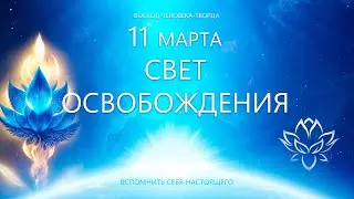 11 марта. Свет Освобождения