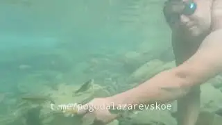 Кормим рыбок в речке 🤿🐟🐟🐟 Сочи, Лазаревское, река Псезуапсе.