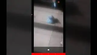 котик мяв мяв