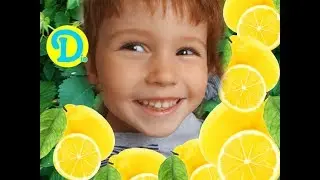 Уфа ЛИМОНАРИЙ
