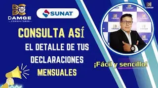 Cómo ver el detalle de mis declaraciones SUNAT 2024 | Declaración Anual y Mensual