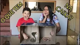 O QUE TEM NA CAIXA ? ( COM MEU SOBRINHO )