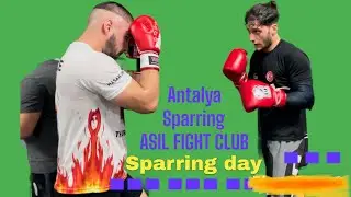 Sparring Antalya (ASİL FİGHT CLUB) спарринг Все бойцы в одном Зале 🔥