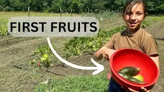 First time Gardener first time pick ￼#homesteading #selfsufficiency