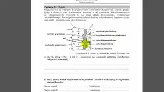 Matura 2015 (Stara podstawa) Zad. 21 | Biologia