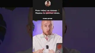 Арест Павла Дурова