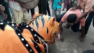 Bagha nacha