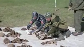 Это нужно живым!