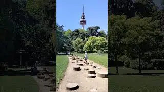 дорожка Януковича
