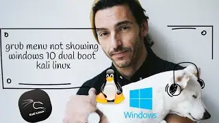 grub menu not showing windows 10/11 dual boot 