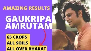 Gopalbhai Sutariyaji - gaukripa amrutam