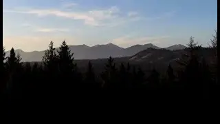 WILD DRONE / SLOVAK NATURE