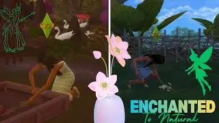 Enchanted By Nature Part 20|Daily In Peri RosaLin