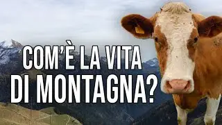 Com'è La Vita In Montagna?