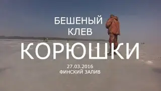 Бешеная Корюшка 27. 03. 2016