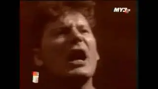 Сектор Газа - Туман (МУЗ ТВ 2006)