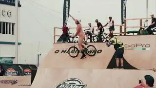 Dickies O'Marisquino 2016