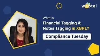 What is Financial Tagging & Notes Tagging in XBRL | Easiest Process for Tagging in XBRL
