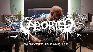 Aborted - Cadaverous Banquet (Guitar Cover)