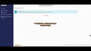 cPanel'de Yedek Alma 2024