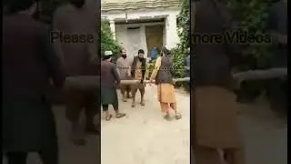 Afghan Taliban 