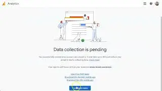 Integrating Google Analytics | HivePress Statistics Docs