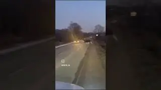 встреча с лосём,будьте осторожны!