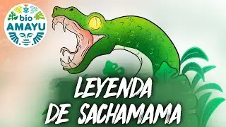 SACHAMAMA 🐍 Amazonian Legend | BIO AMAYU