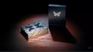 BUTTERFLY BLACK AND SILVER MARKED (GILDED)
