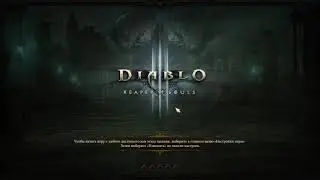 Diablo III Паладин и некрос вышли на прогулку