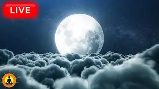 🔴 Relaxing Music 24/7, Stress Relief Music, Sleep Music, Meditation Music, Study, Calming Music